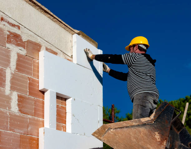Best Commercial Insulation in Ak Chin Village, AZ